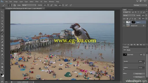 Video2brain – Creating Composites in Photoshop的图片3