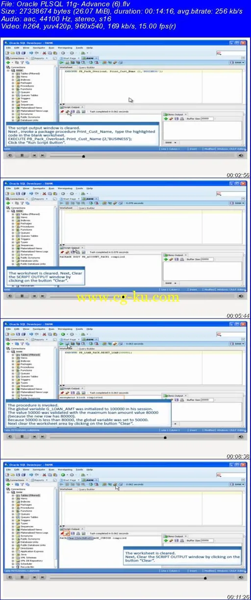 Oracle PL/SQL 11g- Advance的图片2