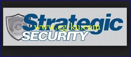 Strategic Security – Pentest Candidate Program的图片2