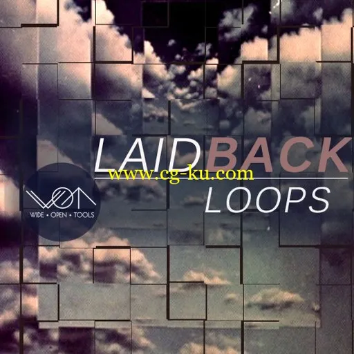 Wide Open Tools Laidback Loops WAV Ableton的图片1