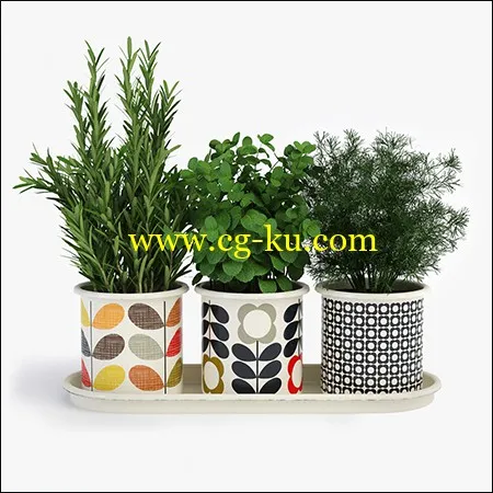 Orla Kiely 3 Herb Pots With Tray的图片1