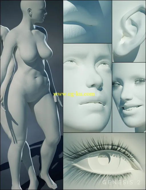 Daz3D Genesis 2 Female(s) Morphs Bundle的图片1