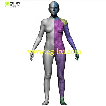 3D Scan Store Female Base Mesh的图片1
