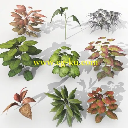 Dream Land Models 108 Plant set 1-3 for Vue – Vuegen VUE梦幻植物的图片1