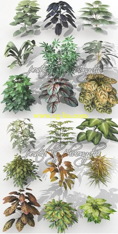 Dream Land Models 108 Plant set 1-3 for Vue – Vuegen VUE梦幻植物的图片2