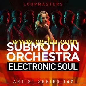 Loopmasters Submotion Orchestra Electronic Soul MULTiFORMAT的图片1