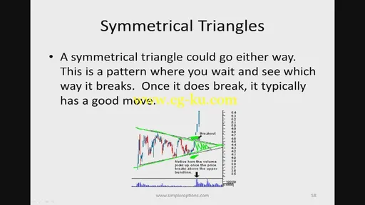 Simpler Options – Small Lot Options的图片1