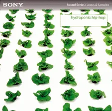 Sony Creative Hydroponic Hip Hop WAV-P2P的图片1