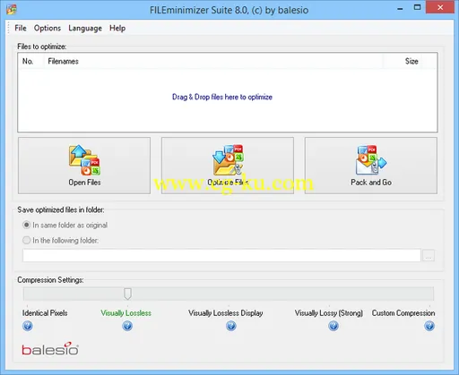 FILEminimizer Server 8.0.0 Multilingual的图片1