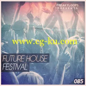 Freaky Loops Future House Festival WAV的图片1