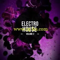 8DM Electro House Vol. 2的图片1