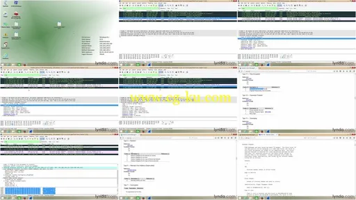 Video2Brain – Wireshark – Grundlagen的图片2