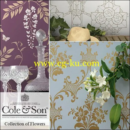 Wallpapers Cole and Son Collection of Flowers的图片1