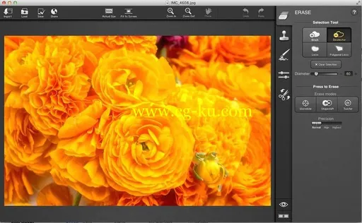 Snapheal 3.1 MacOsX的图片1