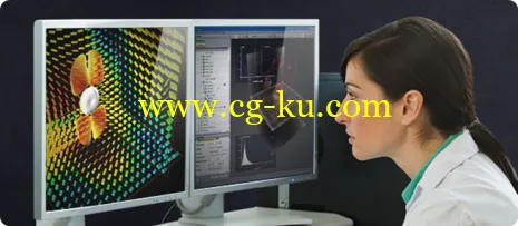FEI Avizo v9.0.1 Win/Mac/Lnx的图片2