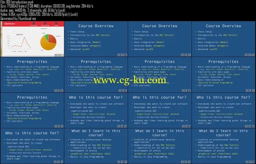 Build Outstanding Java Apps with JavaFX much faster的图片2