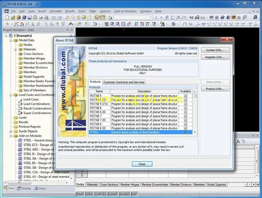 DLUBAL RSTAB 8.13.01 x64 Multilingual的图片1