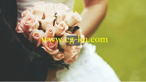 A Crash Course In Wedding Photography的图片1