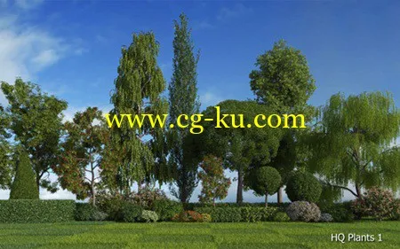 3DMentor HQ Plants 1的图片1