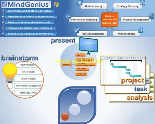 MindGenius Business 6.0.3.6635的图片1
