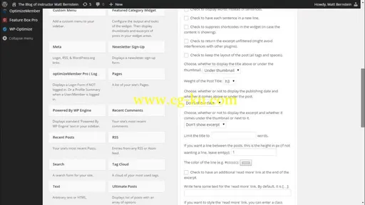 WordPress Profits: Design a Blog to Sell Udemy Courses的图片1