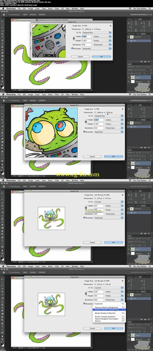 Photoshop CC For The Web的图片2