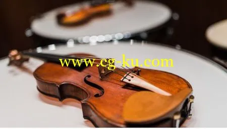 Violin for beginners! A new way to learn to play the violin!的图片1