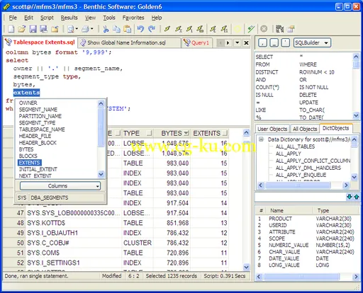 Benthic Software Golden 6.2.663 x86/x64的图片1