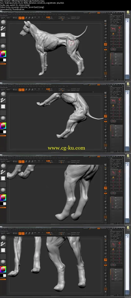 Sculpting Animals with Steve Lord的图片1
