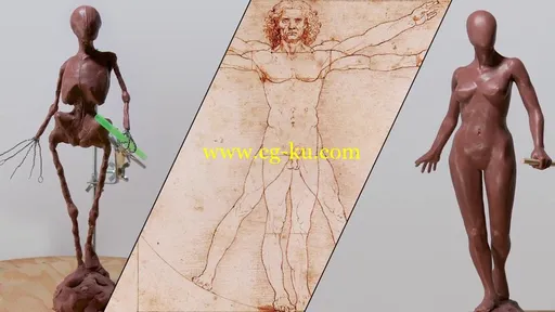 Introduction to Human Anatomy and Basic Proportions的图片1