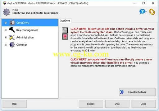 abylon CRYPTDRIVE 14.30.09.1 Bilingual + Portable的图片1