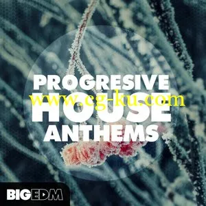 Big EDM – Progressive House Anthems WAV MiDi FLPs Sylenth SPiRE Presets TUTORiAL的图片1