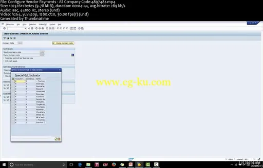 Vendor Payment Config, Development in SAP- WIRE, ACH, Check的图片2