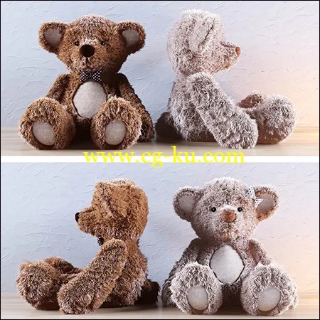 3D Bear Model的图片1