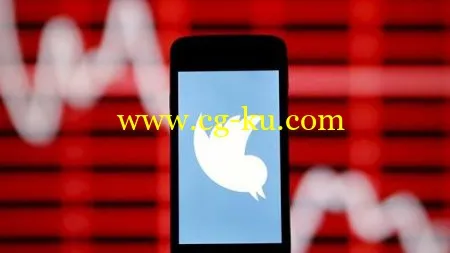 Mastering Twitter: A Guide On How To Get Twitter Followers!的图片2