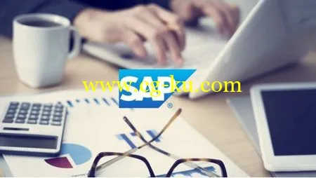 SAP for Beginners – Comprehensive Guide 2016的图片1