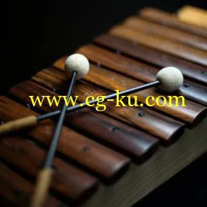 Ableton Orchestral Mallets v9.0.32873 for Ableton Live v9.x的图片1