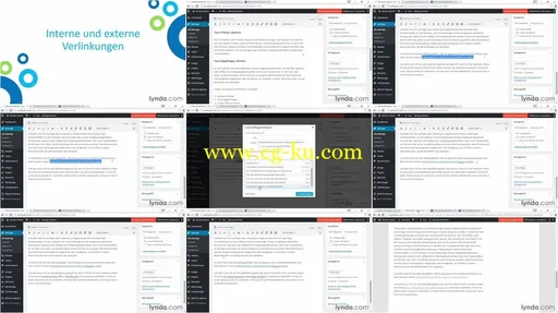 Video2Brain – SEO für WordPress的图片1