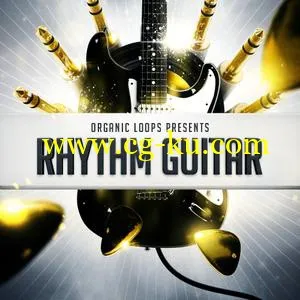 Organic Loops Rhythm Guitar WAV REX的图片1