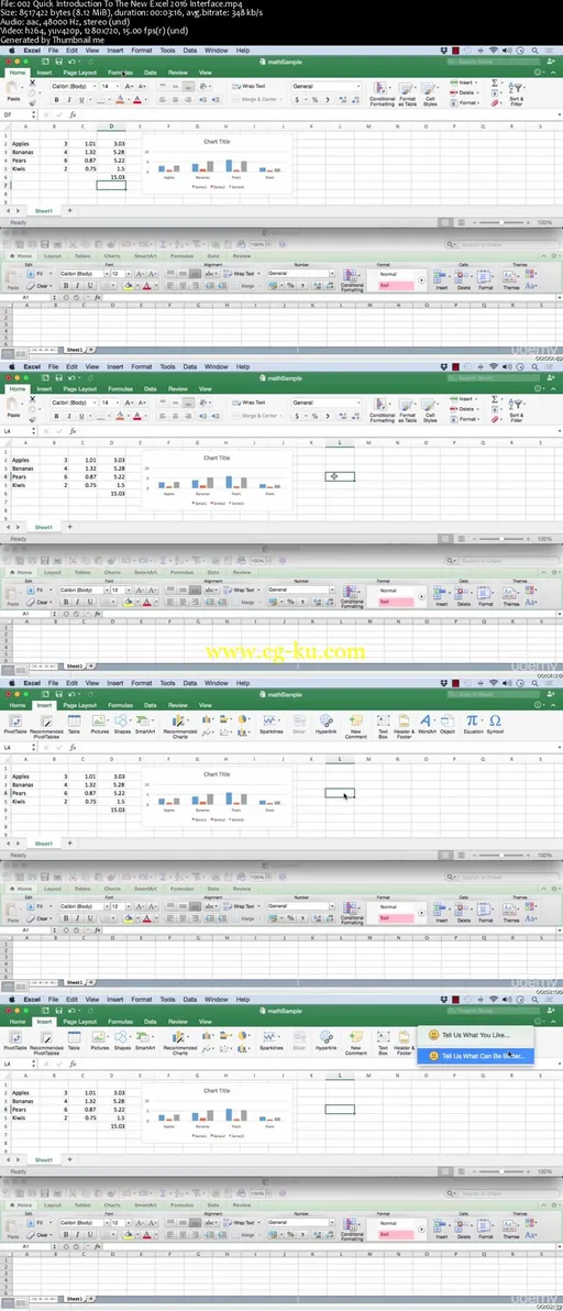 Learning Microsoft Excel 2016 for Mac的图片2
