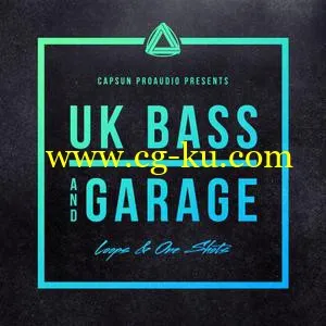 CAPSUN ProAudio UK Bass and Garage MULTiFORMAT的图片1