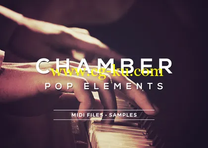 Sample Foundry Chamber Pop Elements ACID WAV MIDI的图片1