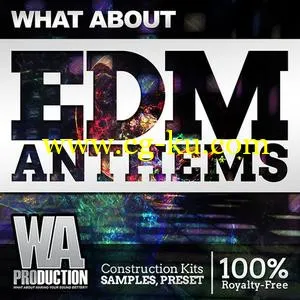 WA Production What About EDM Anthems ACiD WAV MiDi的图片1