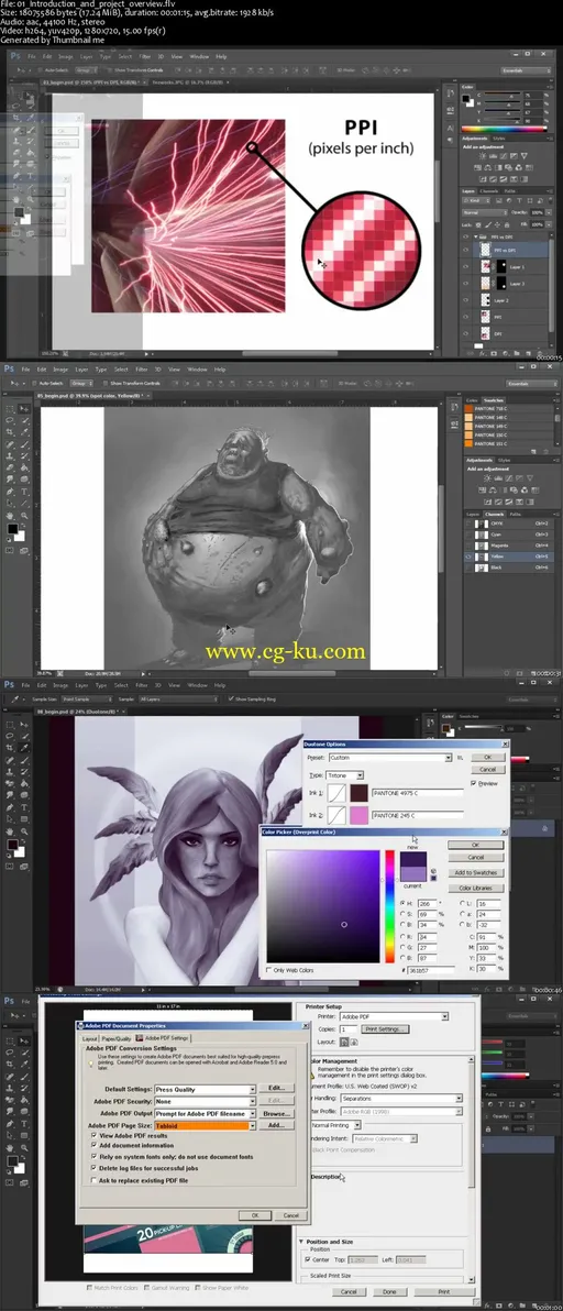 A Designer’s Guide to Printing with Photoshop的图片2