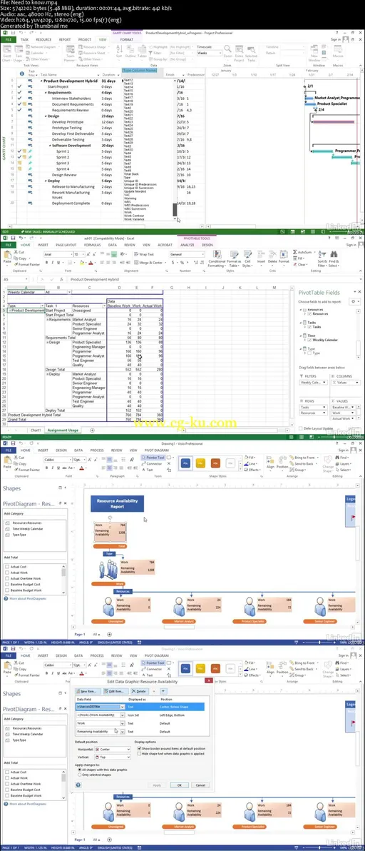 Visualizing a Report in Microsoft Project的图片1