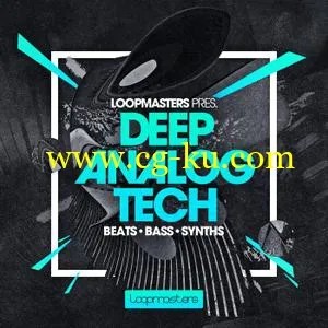 Loopmasters Deep Analog Tech MULTiFORMAT的图片1