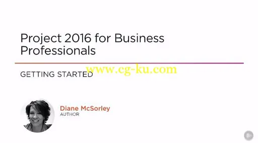 Project 2016 for Business Professionals的图片1