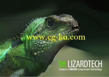 LizardTech LiDAR Compressor 1.1.1的图片1