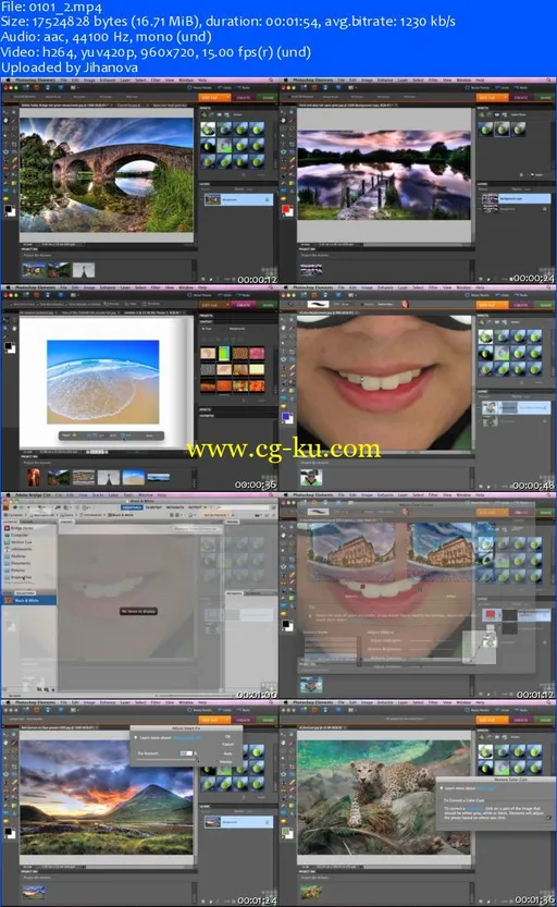 Infiniteskills – Adobe Photoshop Elements 8 [Mac]的图片2