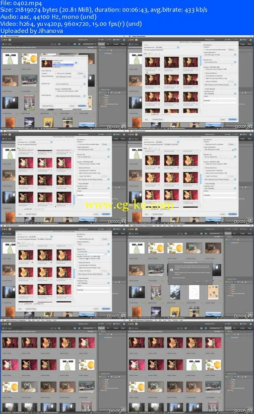 Infiniteskills – Adobe Photoshop Elements 9的图片2